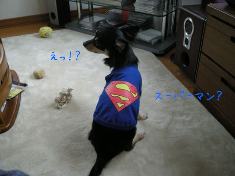 スーパーマン2