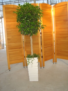 （BtoB販売代理店募集中）花・観葉植物の商品企画・生産・出荷します。 2009年08月