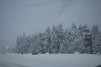 2010-1月雪風景１