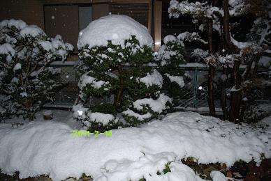 2011-2-14-雪１