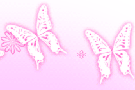 vanilla_va_pink_butterfly