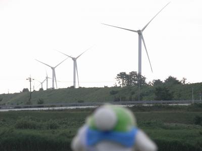風車大きいなぁ～！！