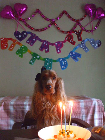 Happy birthday dear Pluto～♪