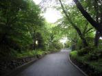 鳩山会館への道