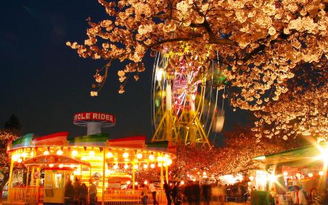 王子動物園夜桜通り抜け/桜のライトアップ