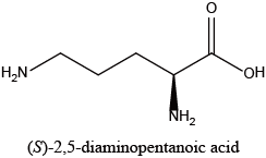 (S)-2,5-diaminopentanoic acid