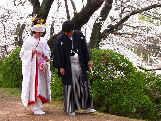 名古屋城の桜-5