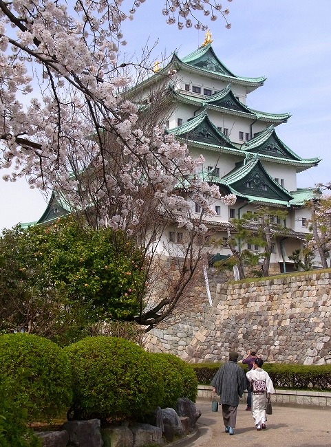 名古屋城の桜-2